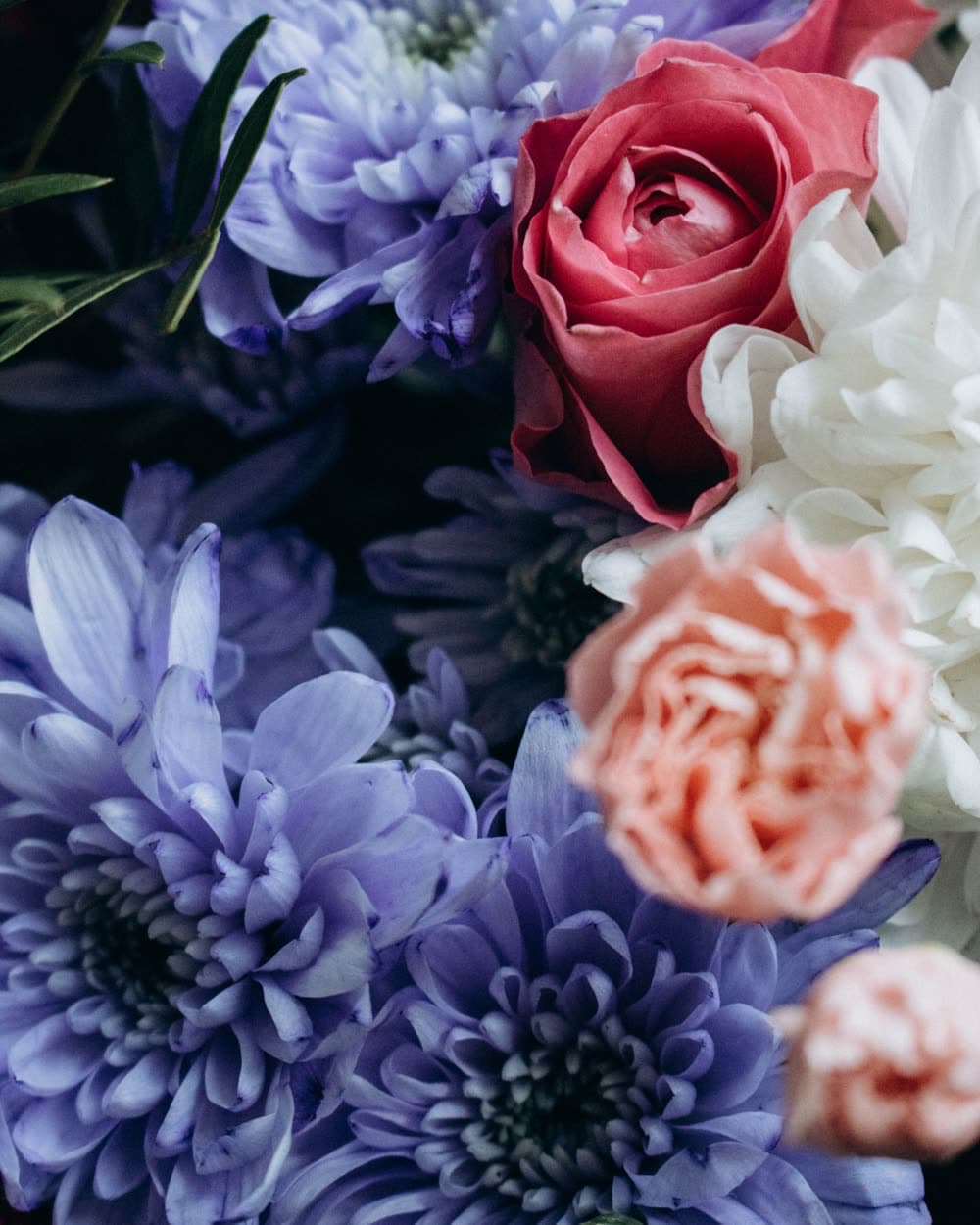 The Botanist's Choice