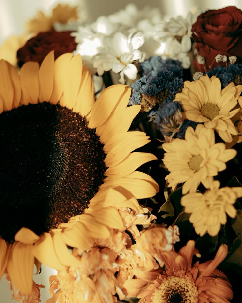 Golden Solstice