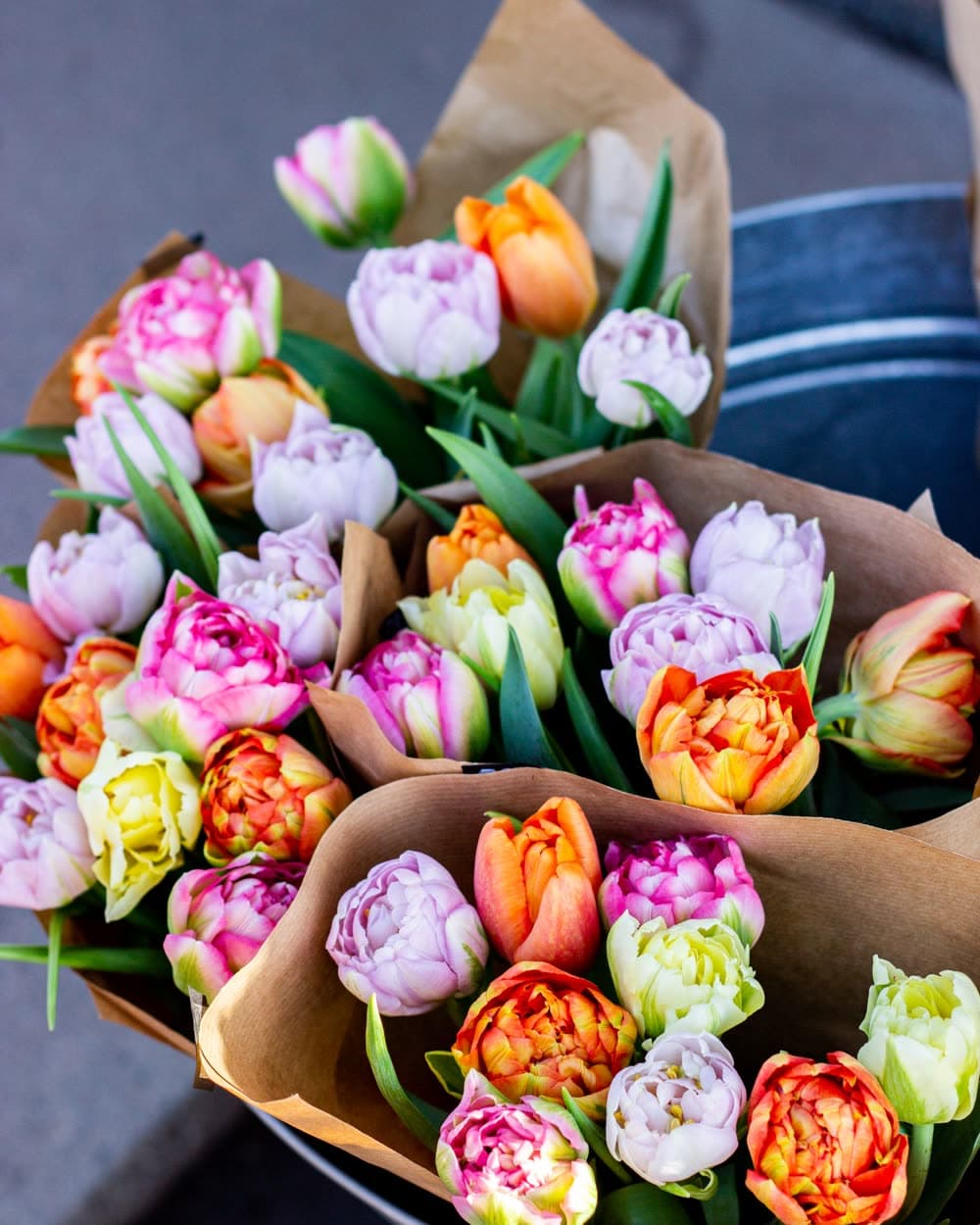 Spring Awakening